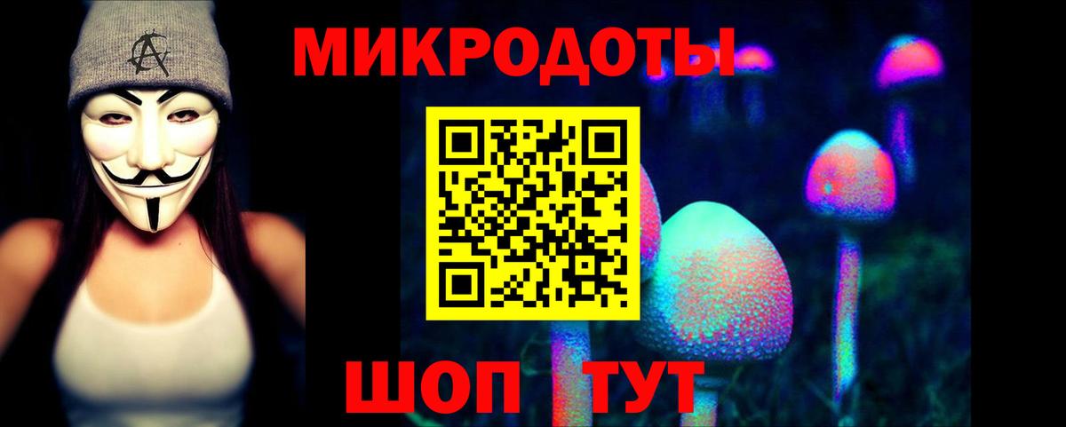 Партизанск  Псилоцибиновые грибы мицелий  Псилоцибиновые грибы Psilocybe  Вход с VPN 
